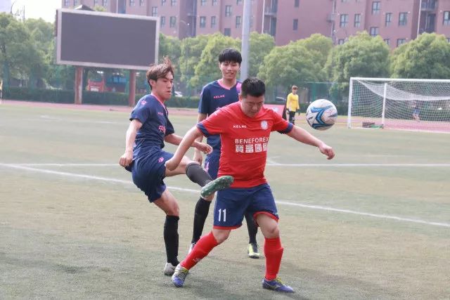 约基奇35+17+12掘金逆转猛龙 绿军大胜开拓者